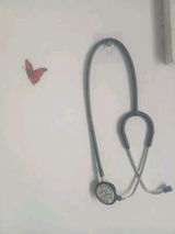 Anjali review photo