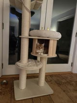 Gina Schilling review photo