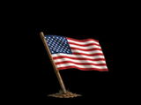 Flag review photo