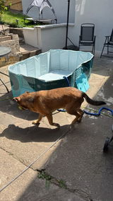 Steven Roberts review photo
