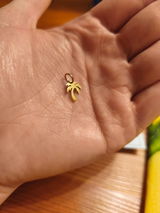 Vany review photo