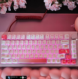 Rixan review photo