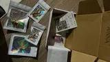 Fatima review photo