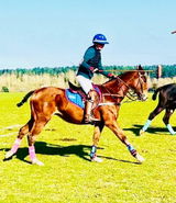 Elaine Longhurst Longhurst review photo