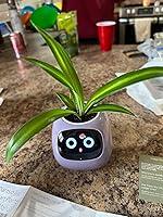 Jazziel Baez review photo