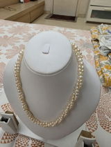 Ananya Grohe review photo