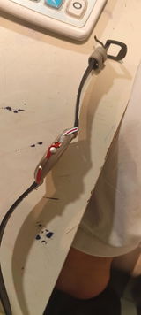 Ahmed Shah review photo