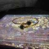 Manisha review photo
