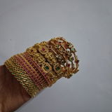 Rajani review photo