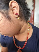 Saraswati Narayan review photo