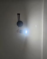 Carlos Menezes review photo