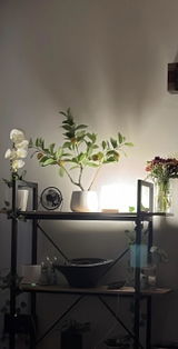 Matariki Cylinder Lamp