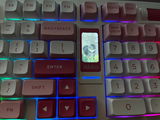 G.S. review photo