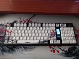 a. review photo