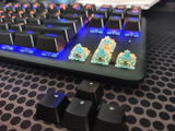 D.v.d.H. review photo