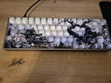 A.J. review photo