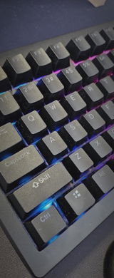 E.M. review photo
