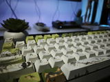 T.P. review photo