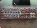 N.K. review photo
