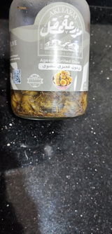 Ahmad Selim Ghazy review photo