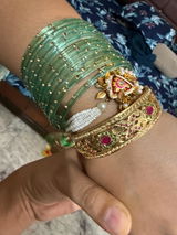 ayushi bhardwaj review photo