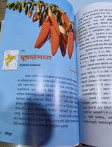 Dr. Gautam R. Saraf review photo
