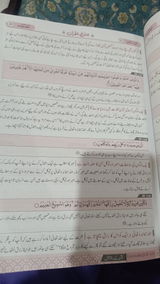 Bint E Saleem Bint E Saleem review photo
