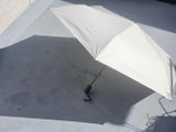 田畑 review photo