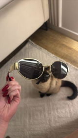 Софья review photo