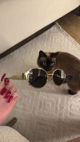 Софья review photo