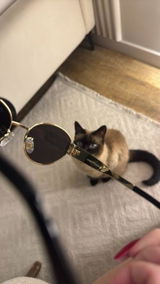 Софья review photo