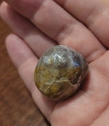 Emi review photo