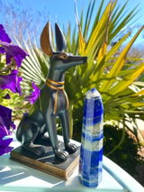 James Livingood review photo