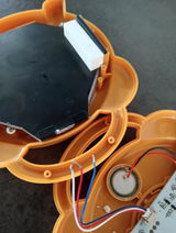 Lex M. review photo