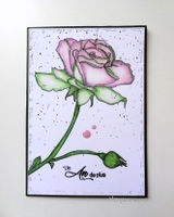 Maryann Scrap review photo