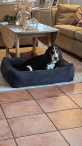 Olav review photo