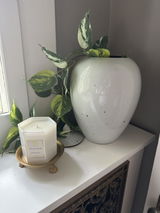 aoster review photo