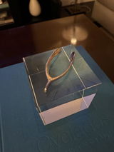 YF review photo
