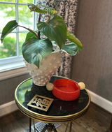 Vanekam review photo