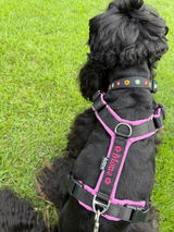 sunuko review photo