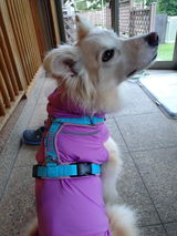 LULU review photo