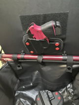 LesD review photo