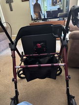 LesD review photo