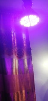 Ulises Kuhic review photo