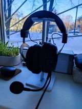 Urban Treutel review photo