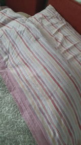 Diana Schersing review photo