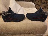 Martin Renner review photo