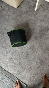 Merl Kerluke review photo
