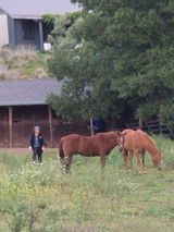 Brian in the Sonoma Valley California review photo