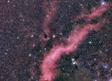 n.s. review photo